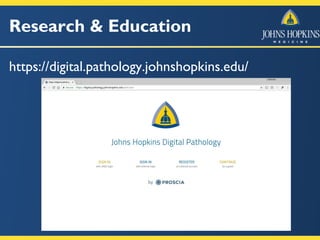 Research & Education
https://digital.pathology.johnshopkins.edu/
 