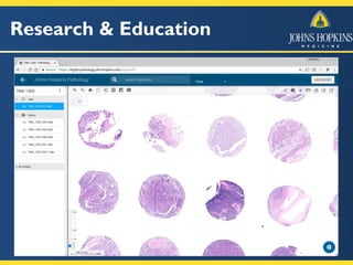 Research & Education
 