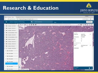 Research & Education
 