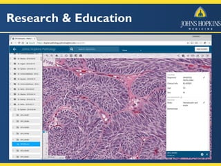 Research & Education
 