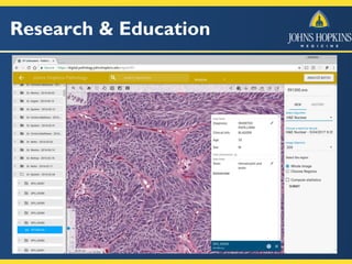 Research & Education
 