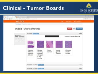Clinical - Tumor Boards
 