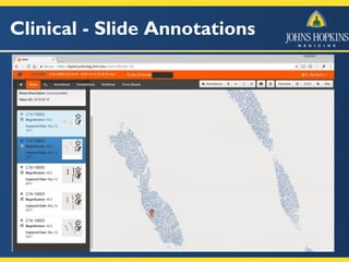 Clinical - Slide Annotations
 