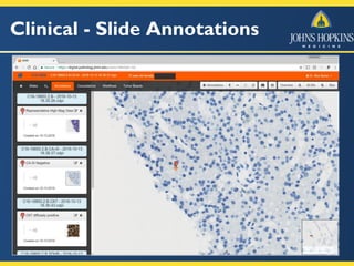 Clinical - Slide Annotations
 