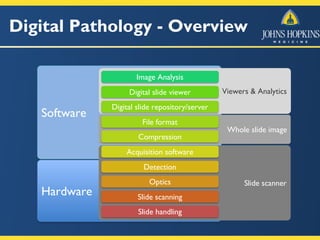 Digital Pathology - Overview
Software
Hardware
Slide scanner
Whole slide image
Slide handling
Slide scanning
Optics
Detection
Acquisition software
Compression
File format
Viewers & Analytics
Digital slide repository/server
Digital slide viewer
Image Analysis
 