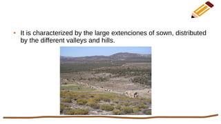 ● It is characterized by the large extenciones of sown, distributed
by the different valleys and hills.
 