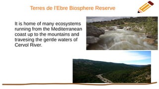 Terres de l’Ebre Biosphere Reserve
It is home of many ecosystems
running from the Mediterranean
coast up to the mountains and
travesing the gentle waters of
Cervol River.
 