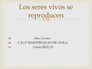 Los seres vivos se
      reproducen
            

             Alex Covaci
   C.E.I.P MAESTRO JUAN DE ÁVILA
          ...