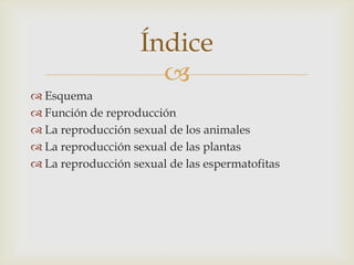 Índice
                      
 Esquema
 Función de reproducción
 La reproducción sexual de los animales
 La reproducc...