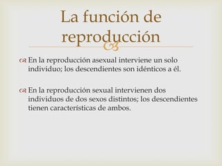 La función de
            reproducción
                 
 En la reproducción asexual interviene un solo
  individuo; los...