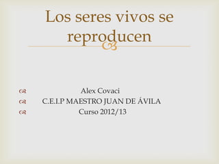 Los seres vivos se
      reproducen
            

             Alex Covaci
   C.E.I.P MAESTRO JUAN DE ÁVILA
             Curso 2012/13
 
