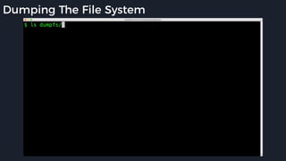 Dumping The File System
 