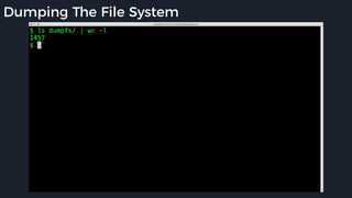 Dumping The File System
 
