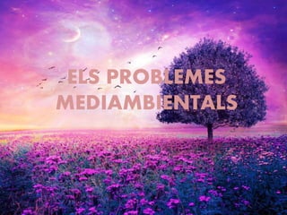 ELS PROBLEMES
MEDIAMBIENTALS
 