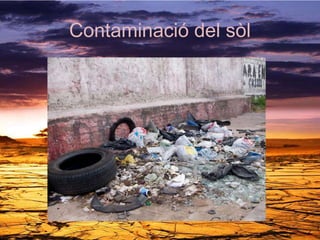 Contaminació del sòl
 