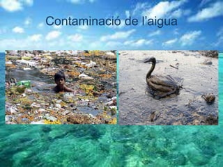 Contaminació de l’aigua
 
