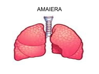 AMAIERA 