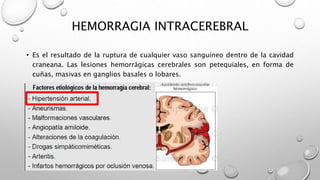 HEMORRAGIA INTRACEREBRAL
• Es el resultado de la ruptura de cualquier vaso sanguíneo dentro de la cavidad
craneana. Las lesiones hemorrágicas cerebrales son petequiales, en forma de
cuñas, masivas en ganglios basales o lobares.
 