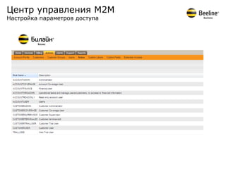 Центр управления М2М
Настройка параметров доступа
 