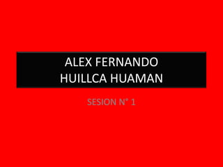 ALEX FERNANDO HUILLCA HUAMAN SESION N° 1 