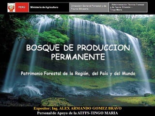 Bosques de Producción Permanente