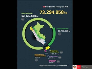Bosques de Producción Permanente