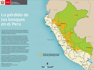Bosques de Producción Permanente