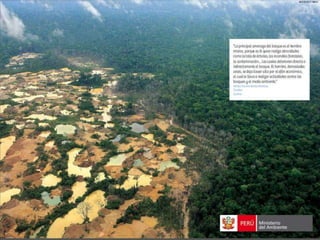 Bosques de Producción Permanente