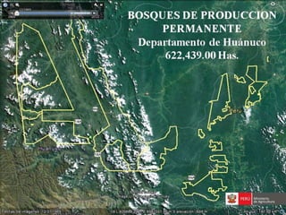 Bosques de Producción Permanente