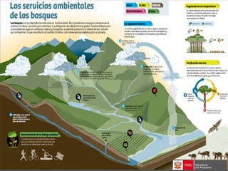 Bosques de Producción Permanente