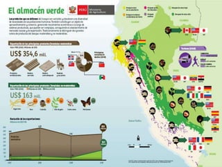 Bosques de Producción Permanente