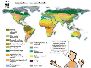 Bosques de Producción Permanente