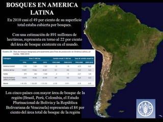 Bosques de Producción Permanente