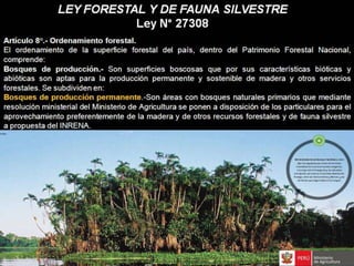 Bosques de Producción Permanente