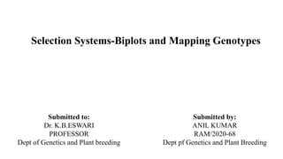 Selection Systems-Biplots and Mapping Genotypes
Submitted to:
Dr. K.B.ESWARI
PROFESSOR
Dept of Genetics and Plant breeding
Submitted by:
ANIL KUMAR
RAM/2020-68
Dept pf Genetics and Plant Breeding
 