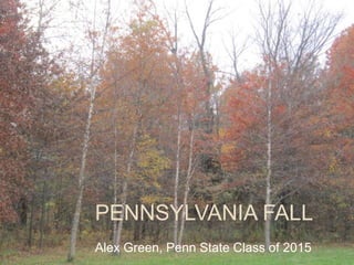 PENNSYLVANIA FALL
Alex Green, Penn State Class of 2015
 