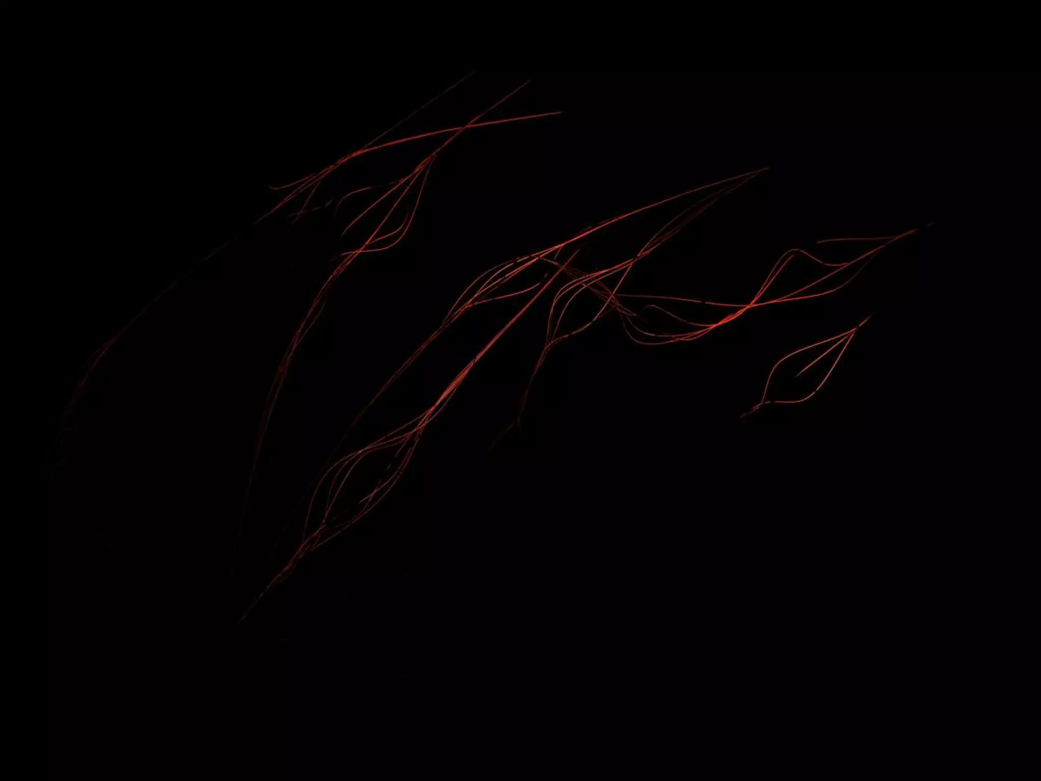 Alex Haw Lecture - 080815 - bbc Innovation Unit - atmos Sample Projects - 546