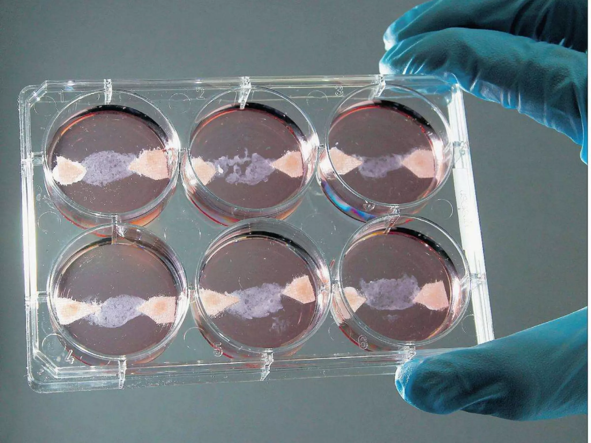 Alex Haw lecture 140203 - Liveable Cities - The Future Of Fabrication--105