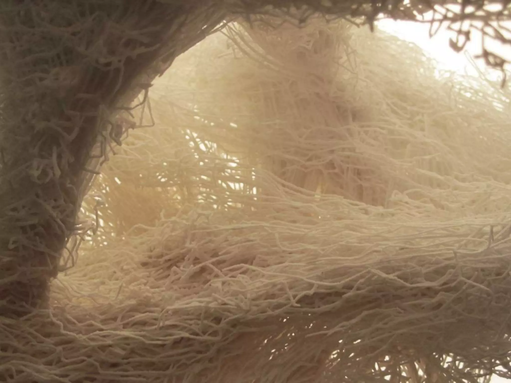 Alex Haw lecture 140203 - Liveable Cities - The Future Of Fabrication--105