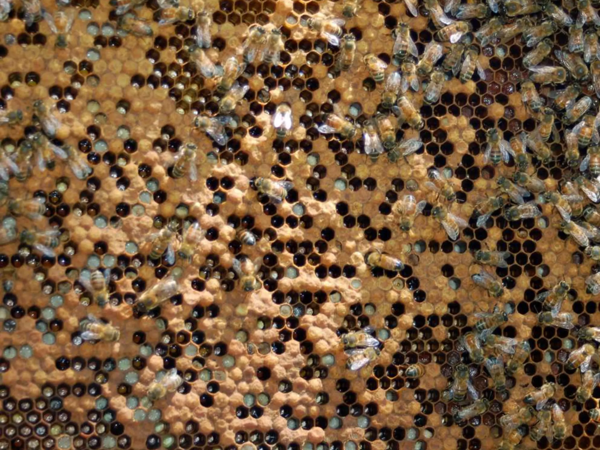 Alex Haw lecture 140203 - Liveable Cities - The Future Of Fabrication--105