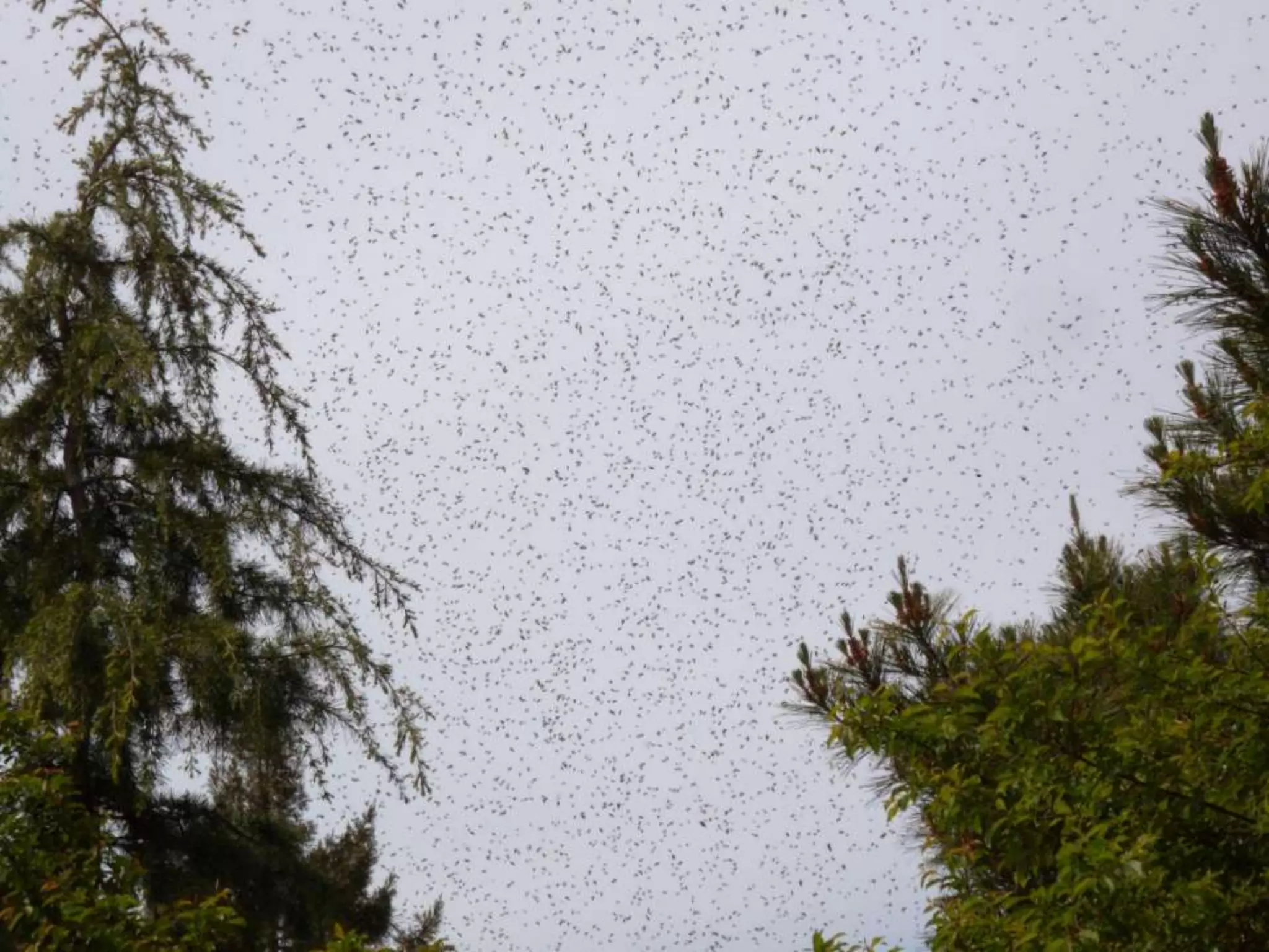 Alex Haw lecture 140203 - Liveable Cities - The Future Of Fabrication--105