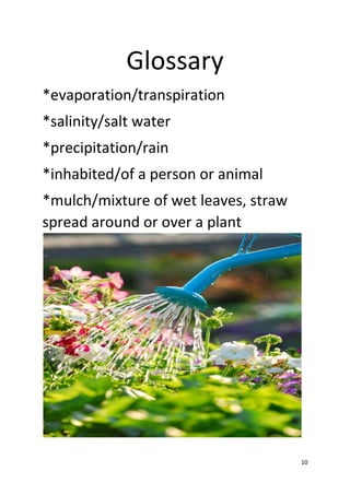10
Glossary
*evaporation/transpiration
*salinity/salt water
*precipitation/rain
*inhabited/of a person or animal
*mulch/mixture of wet leaves, straw
spread around or over a plant
 