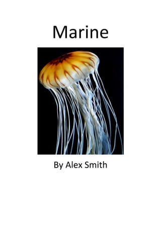 Marine
By Alex Smith
 