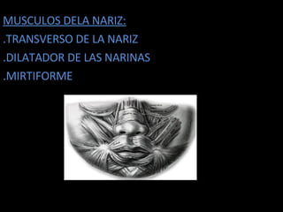 MUSCULOS DELA NARIZ: .TRANSVERSO DE LA NARIZ .DILATADOR DE LAS NARINAS .MIRTIFORME 