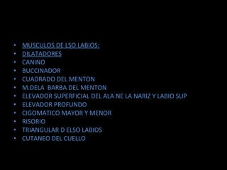 MUSCULOS DE LSO LABIOS: DILATADORES CANINO BUCCINADOR CUADRADO DEL MENTON M.DELA  BARBA DEL MENTON ELEVADOR SUPERFICIAL DEL ALA NE LA NARIZ Y LABIO SUP ELEVADOR PROFUNDO CIGOMATICO MAYOR Y MENOR RISORIO TRIANGULAR D ELSO LABIOS CUTANEO DEL CUELLO 