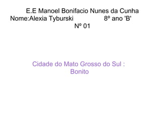 E.E Manoel Bonifacio Nunes da Cunha  Nome:Alexia Tyburski  8º ano 'B'  Nº 01  Cidade do Mato Grosso do Sul : Bonito 