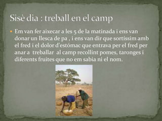  Em van fer aixecar a les 5 de la matinada i ens van
  donar un llesca de pa , i ens van dir que sortíssim amb
  el fred i el dolor d'estómac que entrava per el fred per
  anar a treballar al camp recollint pomes, taronges i
  diferents fruites que no em sabia ni el nom.
 