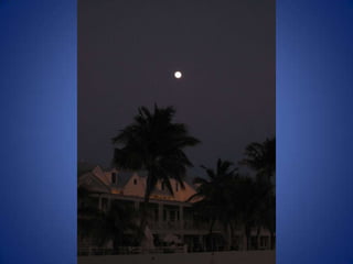 Alexis And Shaun’s Wedding