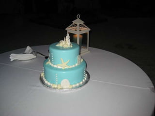 Alexis And Shaun’s Wedding