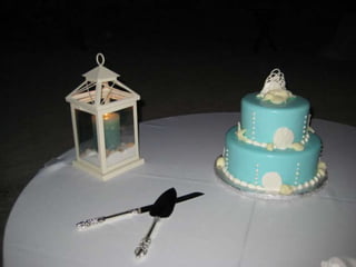 Alexis And Shaun’s Wedding